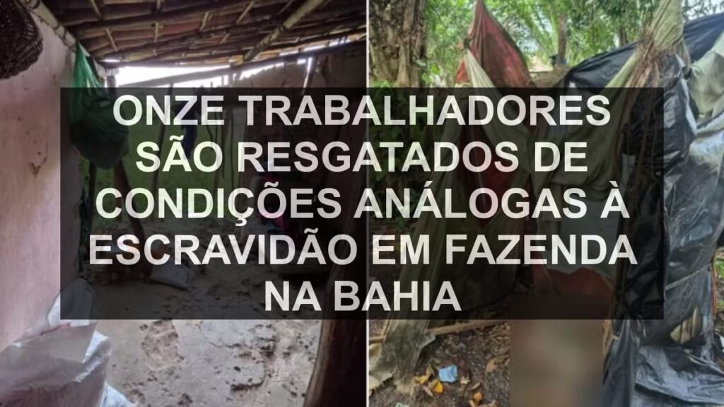 Onze trabalhadores são resgatados de condições análogas à escravidão em fazenda na Bahia